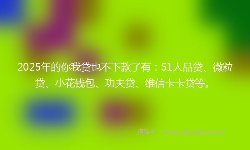 2025年的你我贷也不下款了有：51人品贷、微粒贷、小花钱包、功夫贷、维信卡卡贷等。
