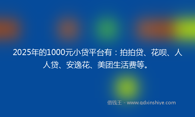 2025年的1000元小贷平台有：拍拍贷、花呗、人人贷、安逸花、美团生活费等。