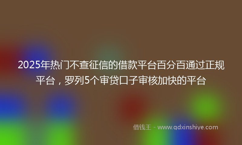 2025年热门不查征信的借款平台百分百通过正规平台，罗列5个审贷口子审核加快的平台