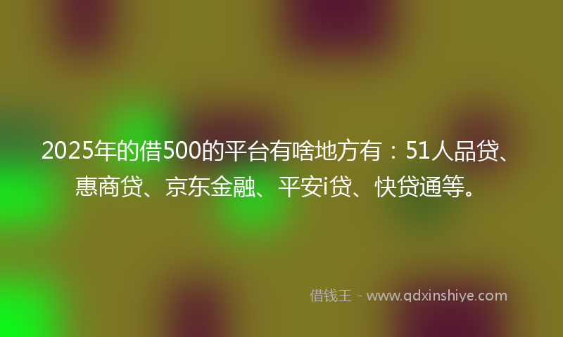 2025年的借500的平台有啥地方有：51人品贷、惠商贷、京东金融、平安i贷、快贷通等。