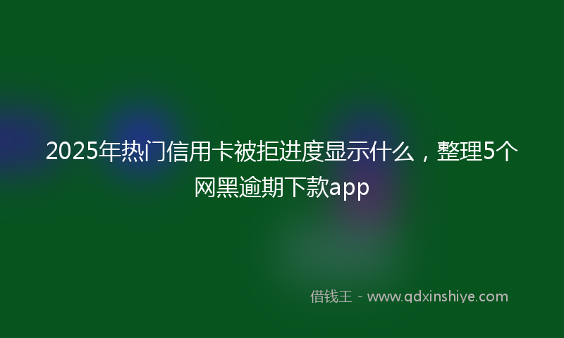2025年热门信用卡被拒进度显示什么，整理5个网黑逾期下款app