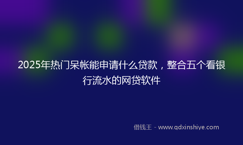 2025年热门呆帐能申请什么贷款，整合五个看银行流水的网贷软件