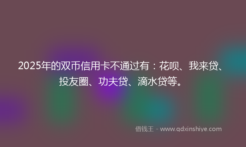 2025年的双币信用卡不通过有：花呗、我来贷、投友圈、功夫贷、滴水贷等。
