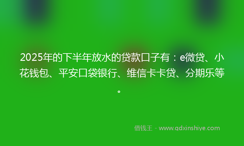 2025年的下半年放水的贷款口子有：e微贷、小花钱包、平安口袋银行、维信卡卡贷、分期乐等。