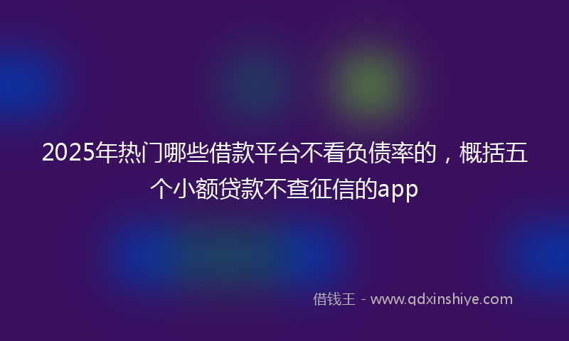 2025年热门哪些借款平台不看负债率的，概括五个小额贷款不查征信的app