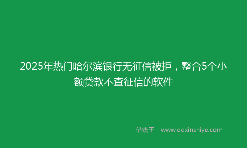2025年热门哈尔滨银行无征信被拒，整合5个小额贷款不查征信的软件