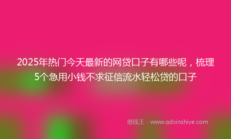 2025年热门今天最新的网贷口子有哪些呢，梳理5个急用小钱不求征信流水轻松贷的口子