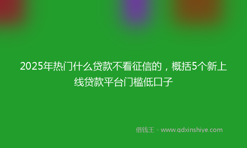 2025年热门什么贷款不看征信的，概括5个新上线贷款平台门槛低口子