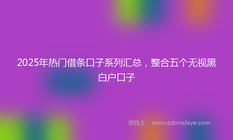 2025年热门借条口子系列汇总，整合五个无视黑白户口子