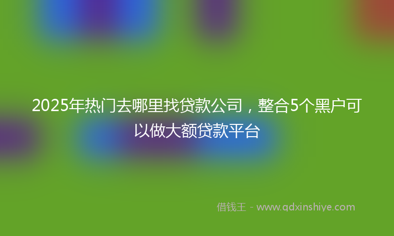 2025年热门去哪里找贷款公司，整合5个黑户可以做大额贷款平台