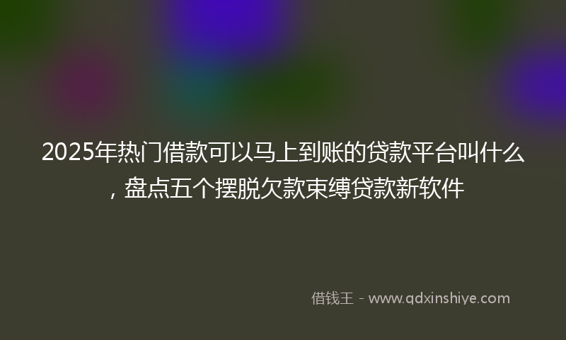 2025年热门借款可以马上到账的贷款平台叫什么，盘点五个摆脱欠款束缚贷款新软件