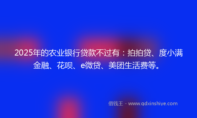 2025年的农业银行贷款不过有：拍拍贷、度小满金融、花呗、e微贷、美团生活费等。