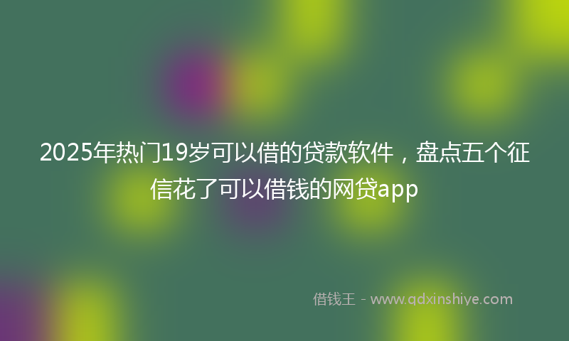 2025年热门19岁可以借的贷款软件，盘点五个征信花了可以借钱的网贷app