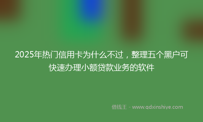 2025年热门信用卡为什么不过，整理五个黑户可快速办理小额贷款业务的软件