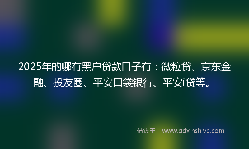 2025年的哪有黑户贷款口子有：微粒贷、京东金融、投友圈、平安口袋银行、平安i贷等。