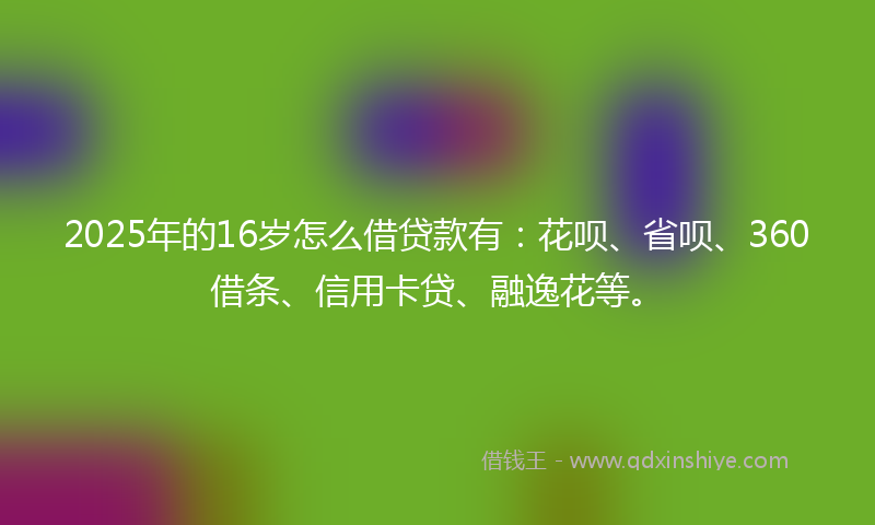 2025年的16岁怎么借贷款有：花呗、省呗、360借条、信用卡贷、融逸花等。
