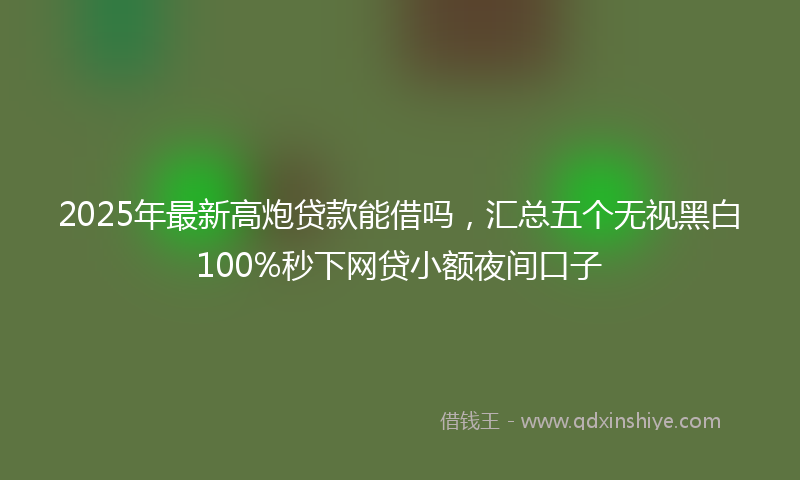 2025年最新高炮贷款能借吗，汇总五个无视黑白100%秒下网贷小额夜间口子