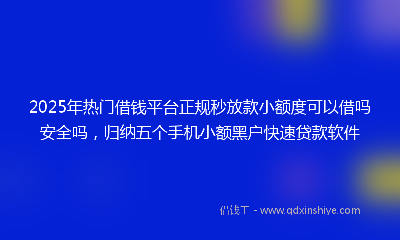 2025年热门借钱平台正规秒放款小额度可以借吗安全吗，归纳五个手机小额黑户快速贷款软件