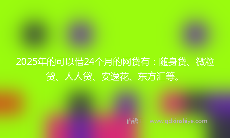 2025年的可以借24个月的网贷有：随身贷、微粒贷、人人贷、安逸花、东方汇等。