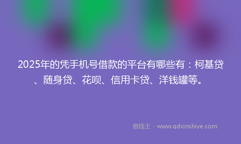 2025年的凭手机号借款的平台有哪些有：柯基贷、随身贷、花呗、信用卡贷、洋钱罐等。