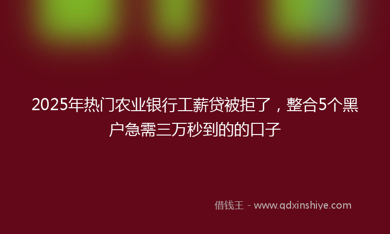 2025年热门农业银行工薪贷被拒了，整合5个黑户急需三万秒到的的口子
