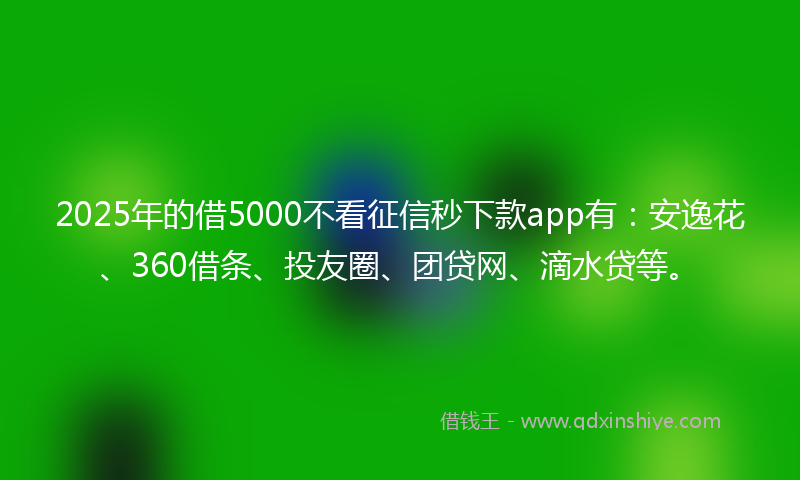 2025年的借5000不看征信秒下款app有：安逸花、360借条、投友圈、团贷网、滴水贷等。