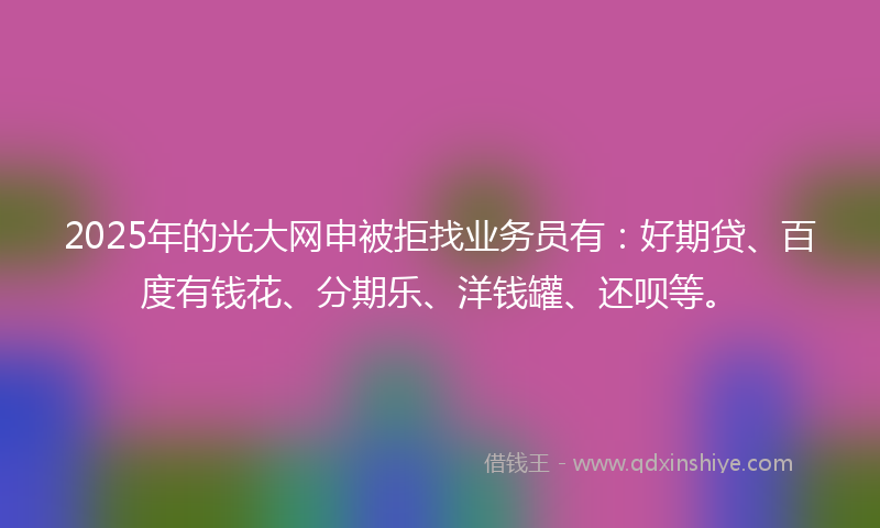2025年的光大网申被拒找业务员有：好期贷、百度有钱花、分期乐、洋钱罐、还呗等。