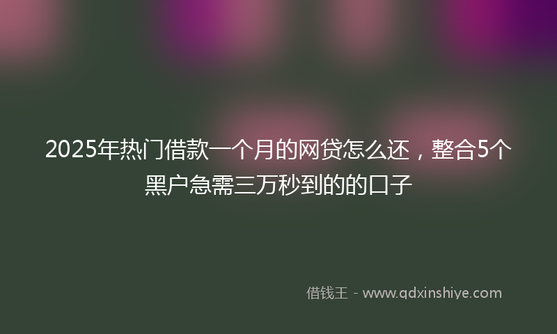 2025年热门借款一个月的网贷怎么还，整合5个黑户急需三万秒到的的口子