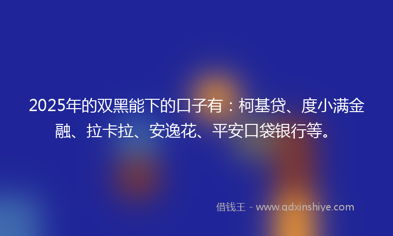 2025年的双黑能下的口子有：柯基贷、度小满金融、拉卡拉、安逸花、平安口袋银行等。
