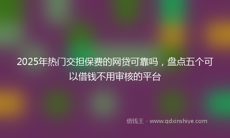 2025年热门交担保费的网贷可靠吗，盘点五个可以借钱不用审核的平台