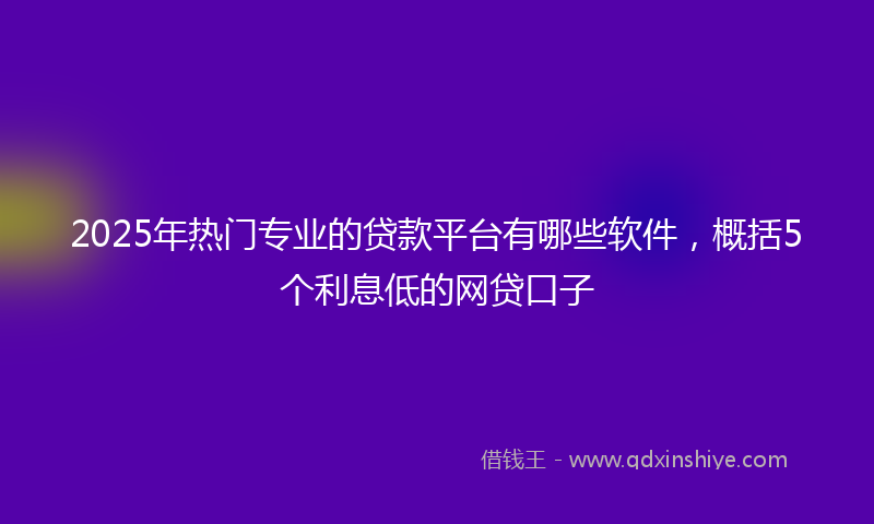 2025年热门专业的贷款平台有哪些软件，概括5个利息低的网贷口子