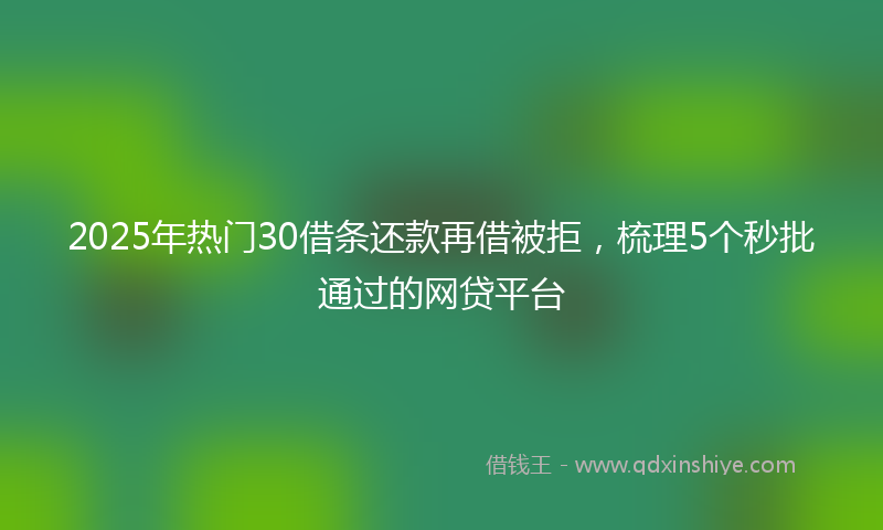 2025年热门30借条还款再借被拒，梳理5个秒批通过的网贷平台