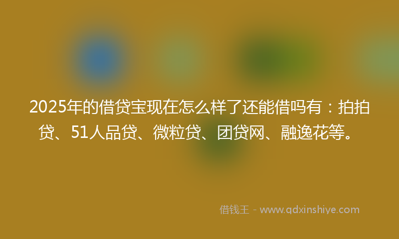 2025年的借贷宝现在怎么样了还能借吗有：拍拍贷、51人品贷、微粒贷、团贷网、融逸花等。