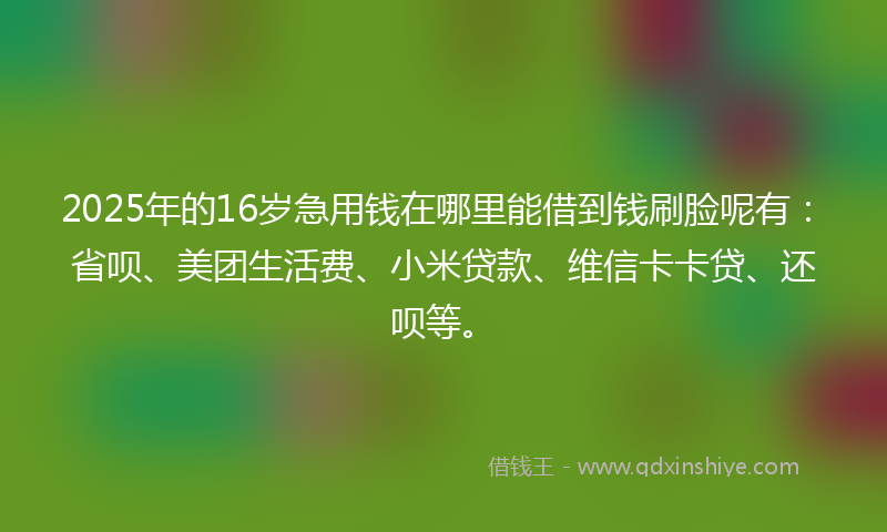 2025年的16岁急用钱在哪里能借到钱刷脸呢有：省呗、美团生活费、小米贷款、维信卡卡贷、还呗等。