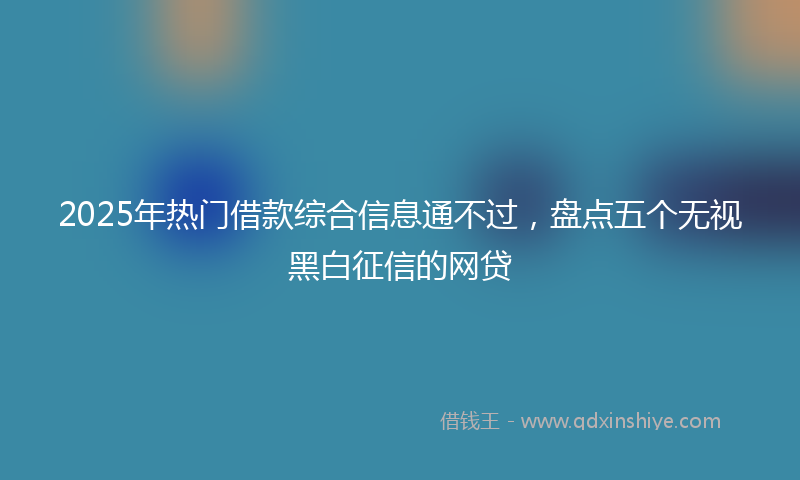 2025年热门借款综合信息通不过，盘点五个无视黑白征信的网贷