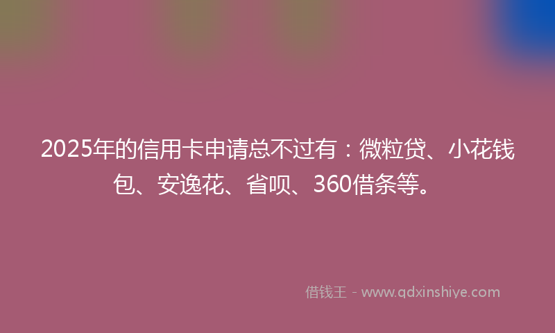 2025年的信用卡申请总不过有：微粒贷、小花钱包、安逸花、省呗、360借条等。