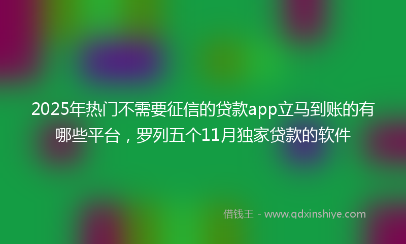2025年热门不需要征信的贷款app立马到账的有哪些平台，罗列五个11月独家贷款的软件