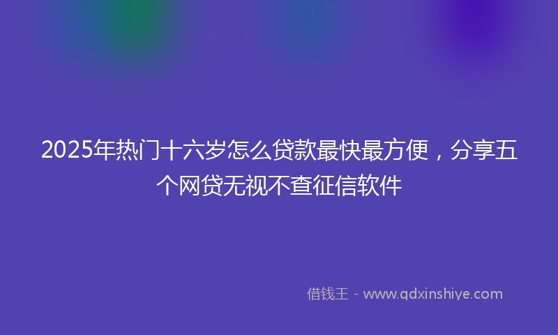 2025年热门十六岁怎么贷款最快最方便，分享五个网贷无视不查征信软件