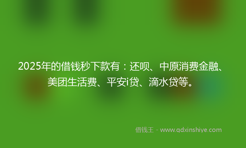 2025年的借钱秒下款有：还呗、中原消费金融、美团生活费、平安i贷、滴水贷等。