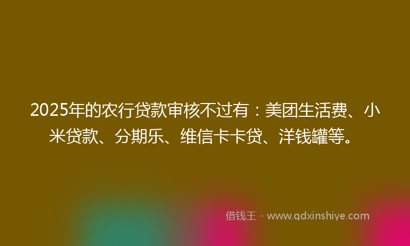 2025年的农行贷款审核不过有：美团生活费、小米贷款、分期乐、维信卡卡贷、洋钱罐等。