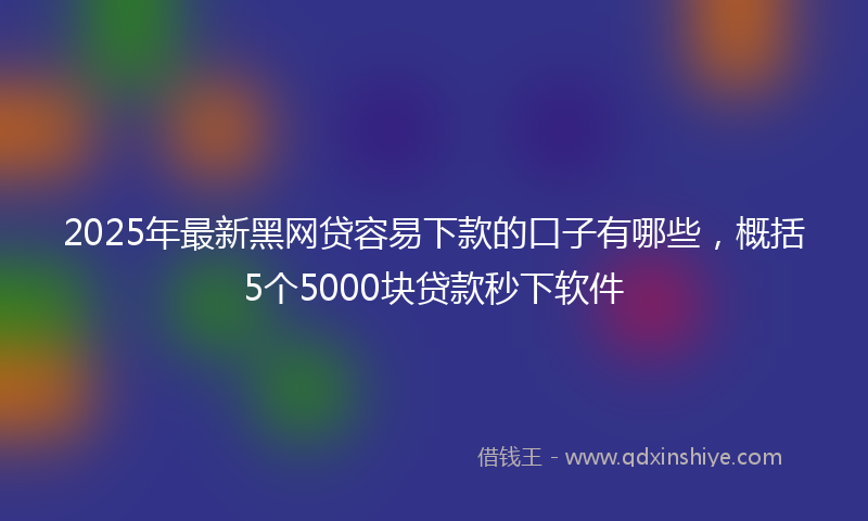 2025年最新黑网贷容易下款的口子有哪些，概括5个5000块贷款秒下软件