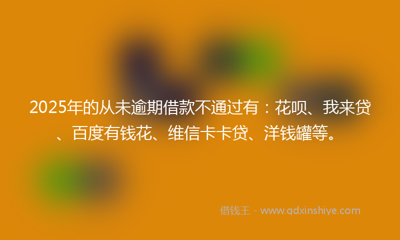 2025年的从未逾期借款不通过有：花呗、我来贷、百度有钱花、维信卡卡贷、洋钱罐等。