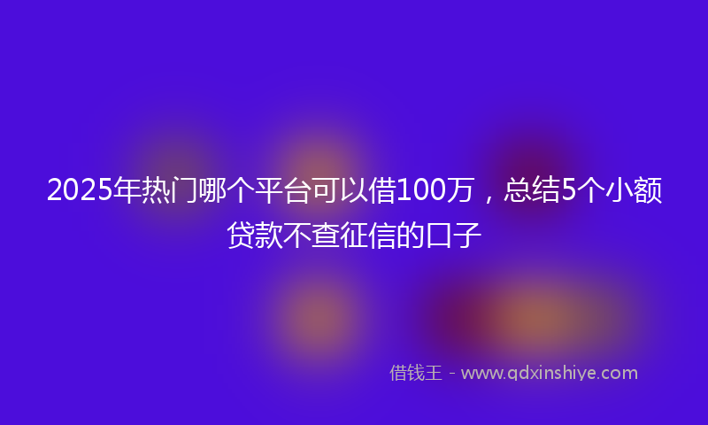 2025年热门哪个平台可以借100万，总结5个小额贷款不查征信的口子