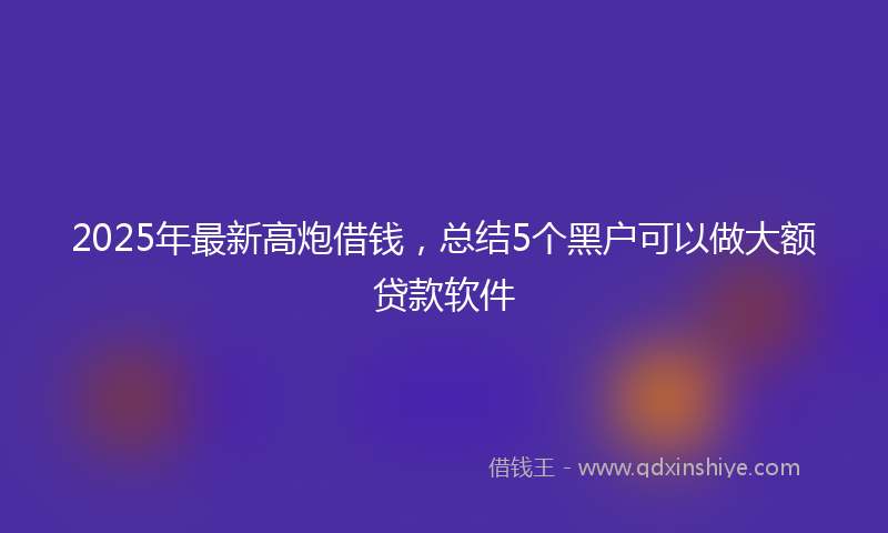 2025年最新高炮借钱，总结5个黑户可以做大额贷款软件