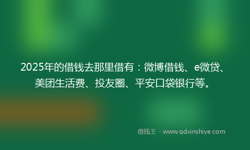 2025年的借钱去那里借有：微博借钱、e微贷、美团生活费、投友圈、平安口袋银行等。