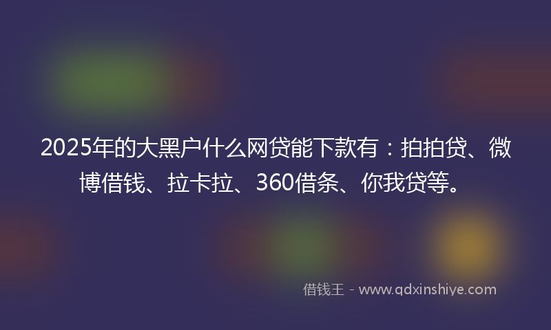 2025年的大黑户什么网贷能下款有：拍拍贷、微博借钱、拉卡拉、360借条、你我贷等。