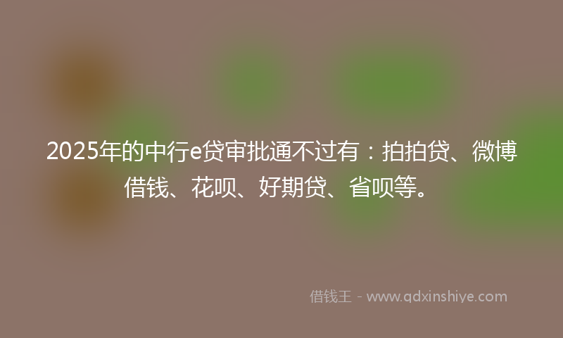 2025年的中行e贷审批通不过有：拍拍贷、微博借钱、花呗、好期贷、省呗等。