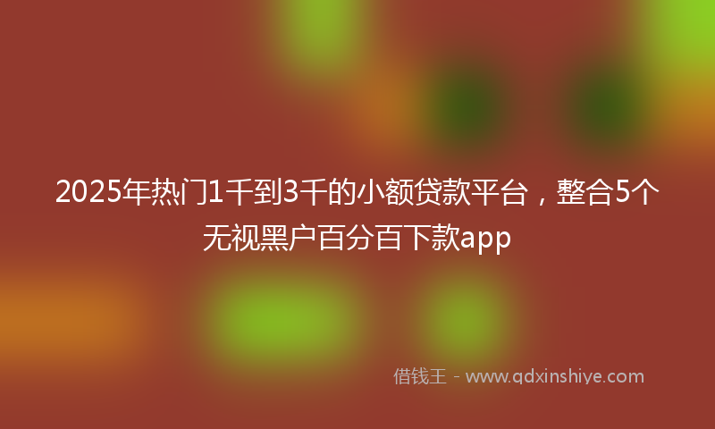 2025年热门1千到3千的小额贷款平台，整合5个无视黑户百分百下款app