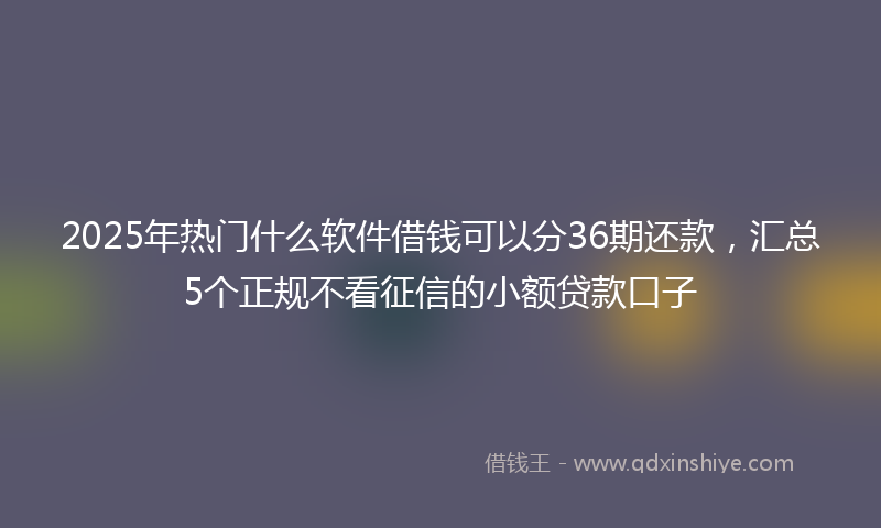 2025年热门什么软件借钱可以分36期还款，汇总5个正规不看征信的小额贷款口子