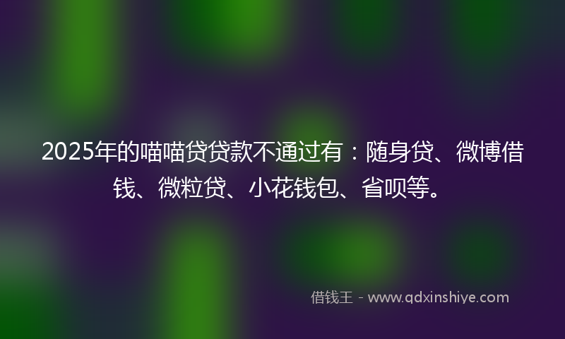 2025年的喵喵贷贷款不通过有：随身贷、微博借钱、微粒贷、小花钱包、省呗等。
